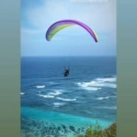 Fly bali