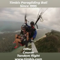 Fly bali